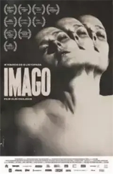 Imago