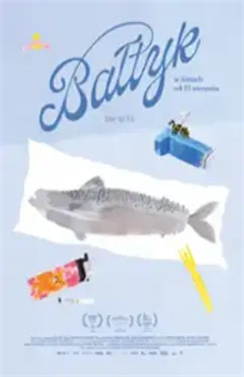 DKF Człowiek w Zagrożeniu: Bałtyk - Spotkanie z Igą Lis