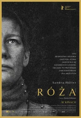 Róża